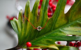 Trefle J Sting Bracelet - Redline