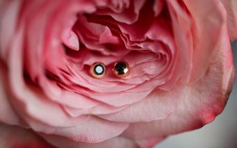 Kcolor Pure - Redline