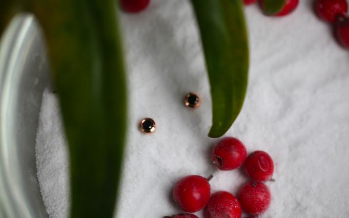 Earrings Kcolor Pure Rose Gold RedLine Jewelry - Redline - 0++