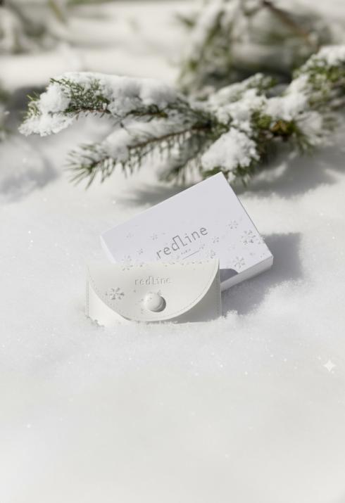 シルバーの雪の結晶と型押しロゴをあしらったスナップボタン式ポーチ - Redline - 0++