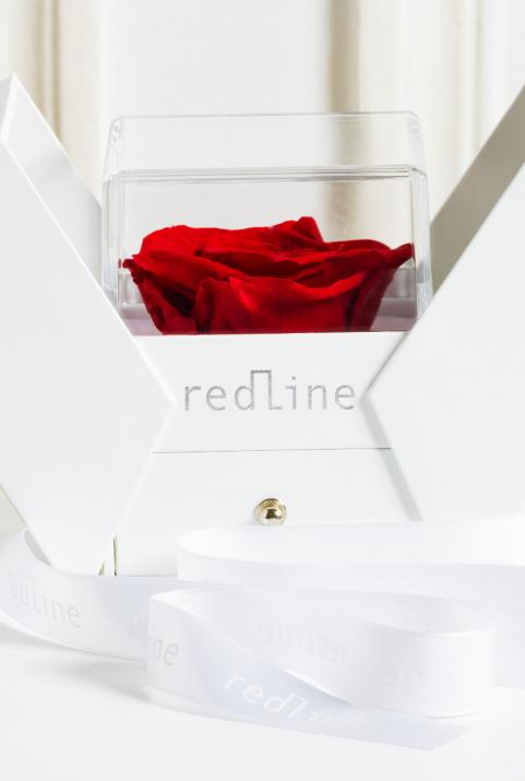Packaging Rose メンズ・ワイヤーブレスレット白金 - Redline - 0++