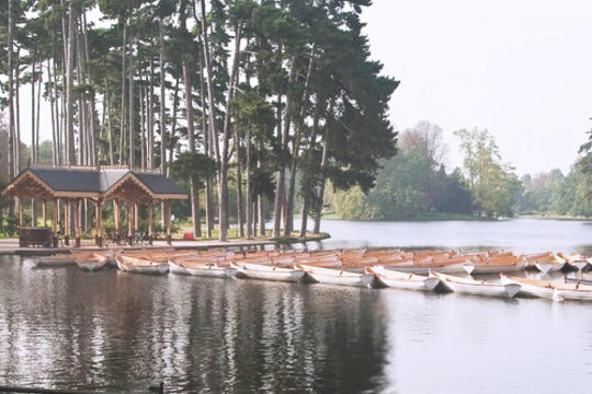 Une activité détente et improbable à Paris