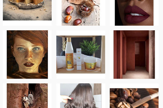 Tendance femme : la marque disclose