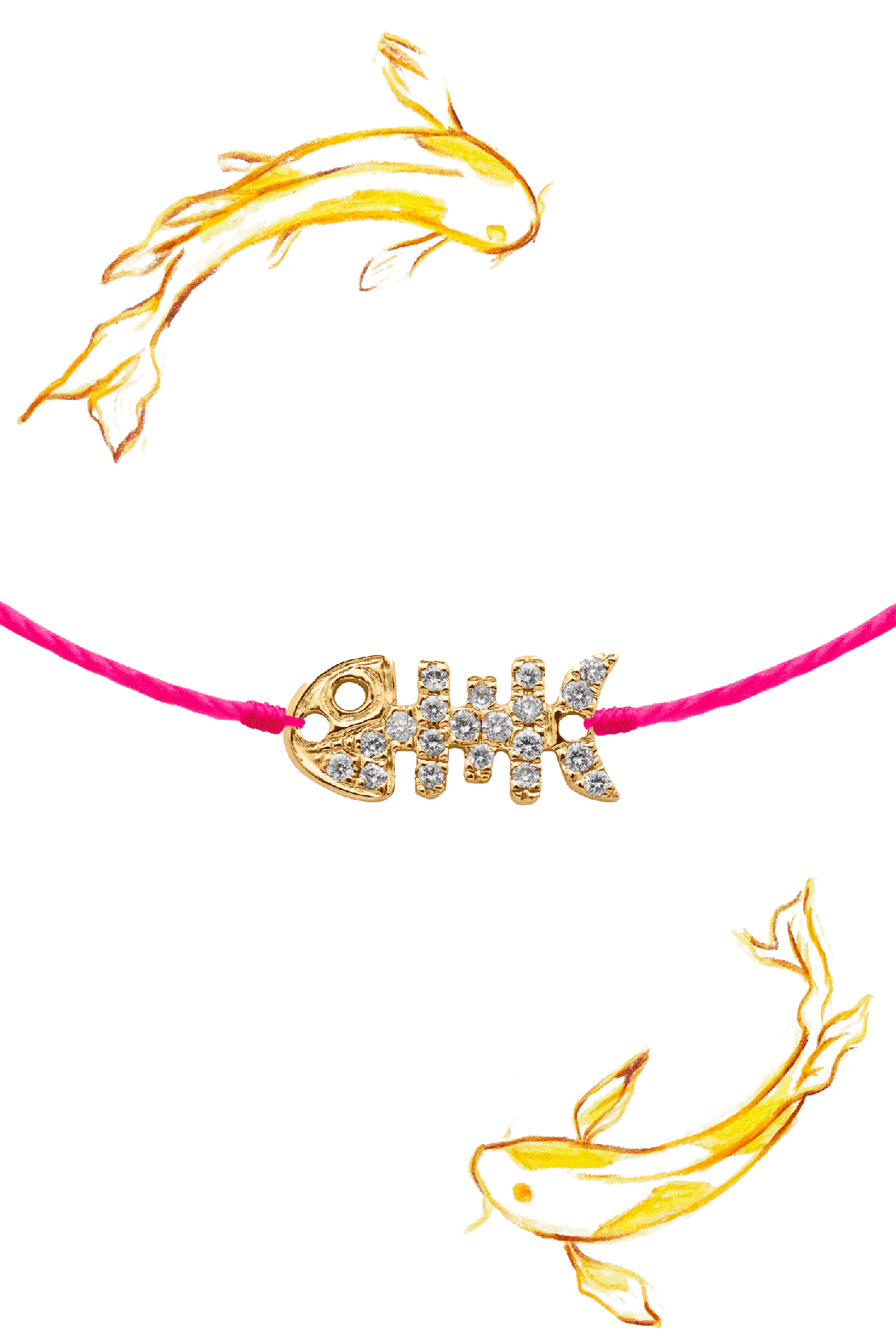 錦鯉とダイヤモンド