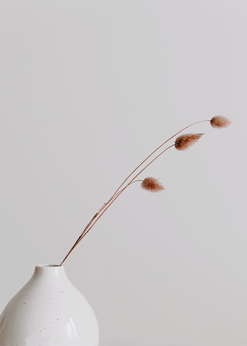 魅力と洗練の象徴