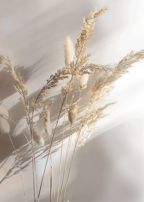 RedLine が「Pure」を讃える