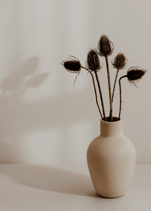 ジュエリー、それはひとつのライフスタイル