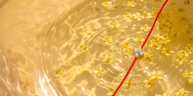 Shinyブレスレット、ミニマルで時を超えて 